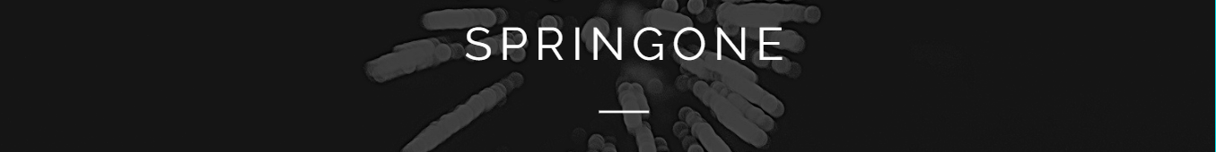 Key Takeaways from SpringOne 2021 Developer Conference